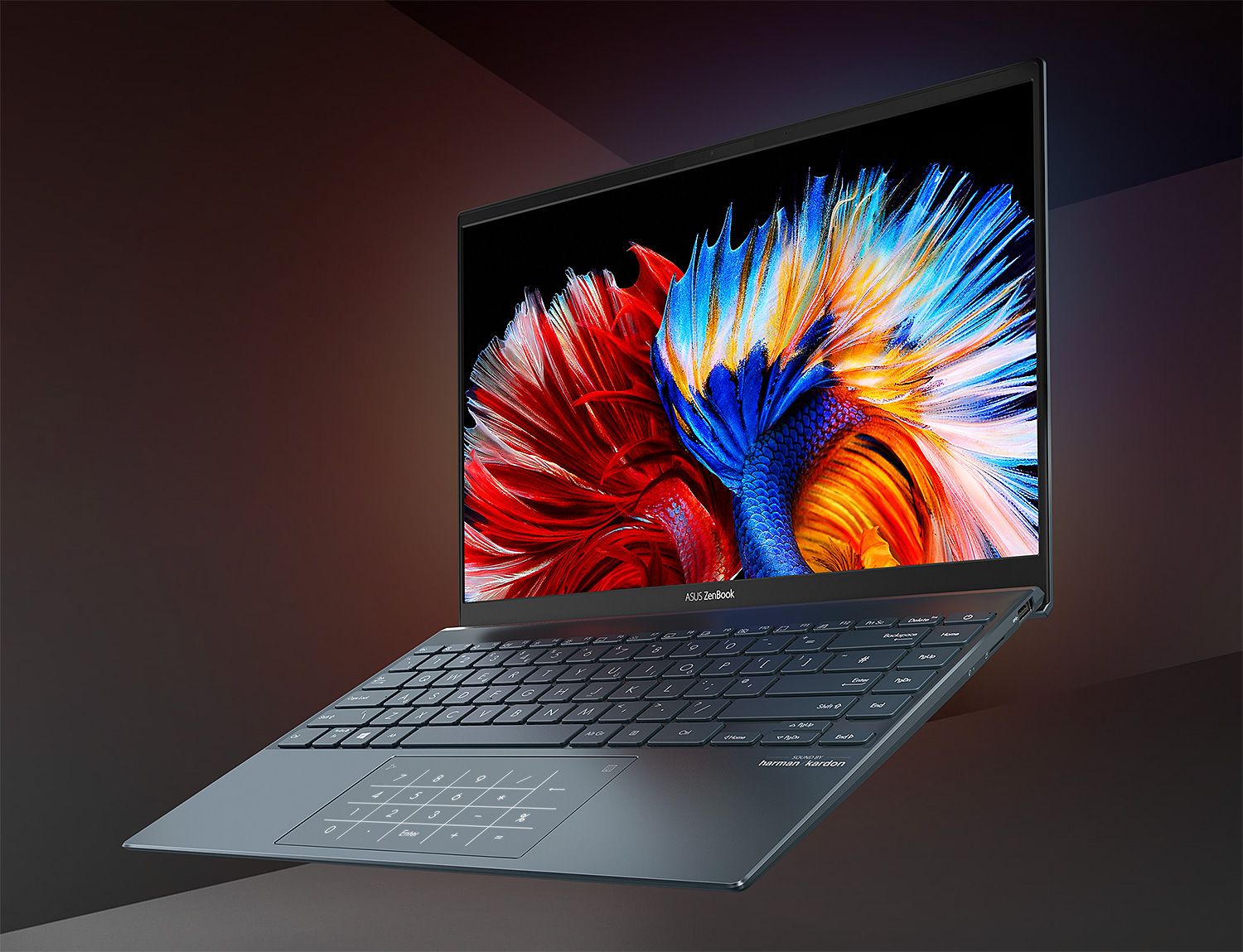ZenBook repair at Princeton Service Center